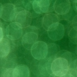 Bokeh-437